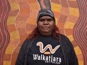 Walkatjara Art provides visitors a unique opportunity to experience the production of Anangu Art.
