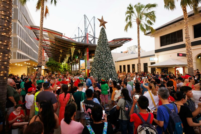 Crowd with a Christmas tree
