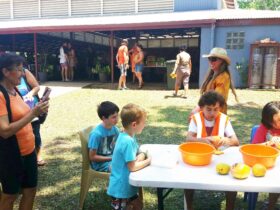 Children's turn at the Mango Eating Competition