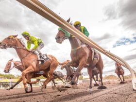 Thoroughbred racing photo from under the inside running rail