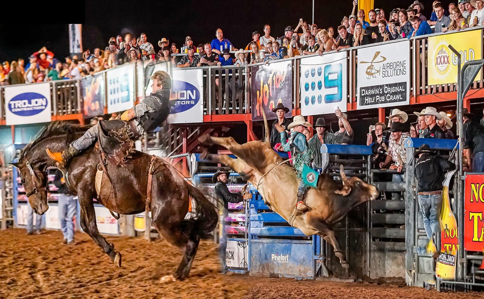 A Cowboy riding a bucking horse and a cowboy riding a bucking bull both in front of the grand stand