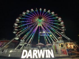 Ferris Wheel lit up at the Skyline Precinct Darwin.