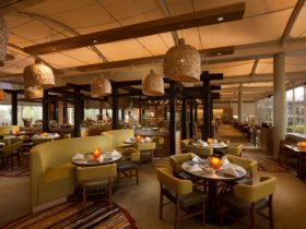 Relax and feast in the brasserie-style Ilkari Restaurant at Sails in the Desert.