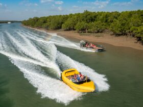 Airboat and jet boat travelling along the mangroves in Darwin Harbour