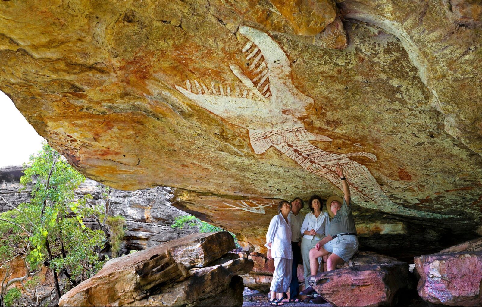 Experience ancient rock art galleries such as the Rainbow Serpent measuring over 6 meters.