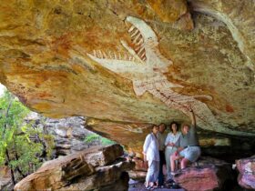 Experience ancient rock art galleries such as the Rainbow Serpent measuring over 6 meters.