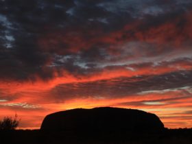 We go back to where we watched the sunset on Uluru, to see the silhouette with fire behind it!