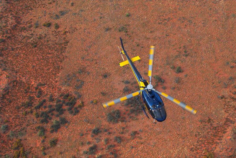 Kings Canyon Squirrel AS 350 Northern Territory