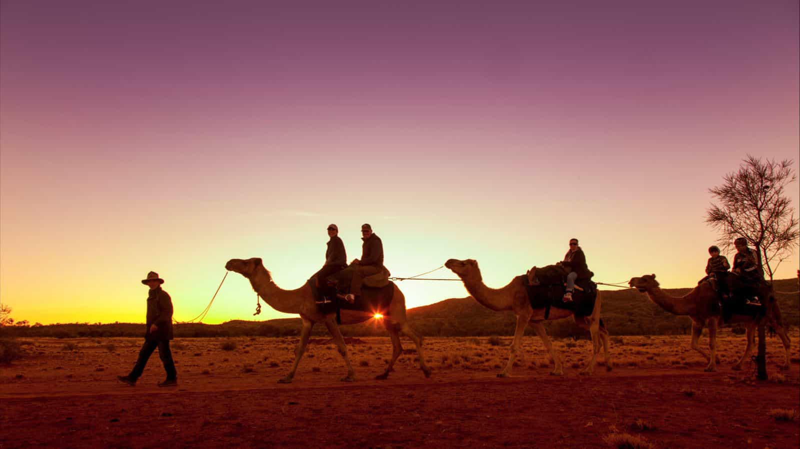 camel ride Alice Springs