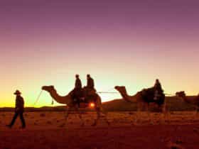 camel ride Alice Springs