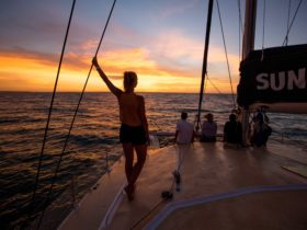 Sundancer NT Sailing towards a tropical sunset