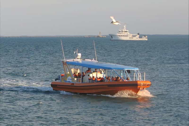 Flatback-A-Sea-Darwin-Vessel