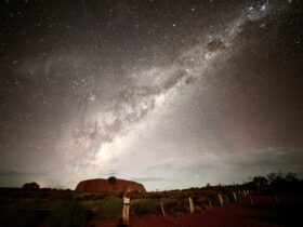 Emu in the Night Sky over Uluru