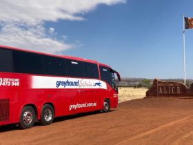 Greyhound Coach Alice Springs
