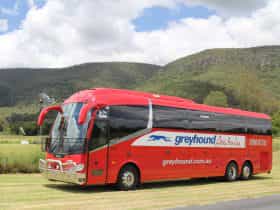 Greyhound coach in country side with windmill