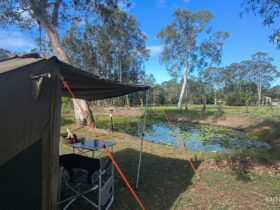 Luxury tent set, table and chairs looking out on to the Dam with lillies on it and gumtrees beyond