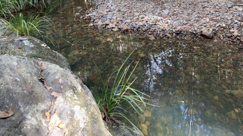 There are several streams surrounding the property. All within an easy walk.