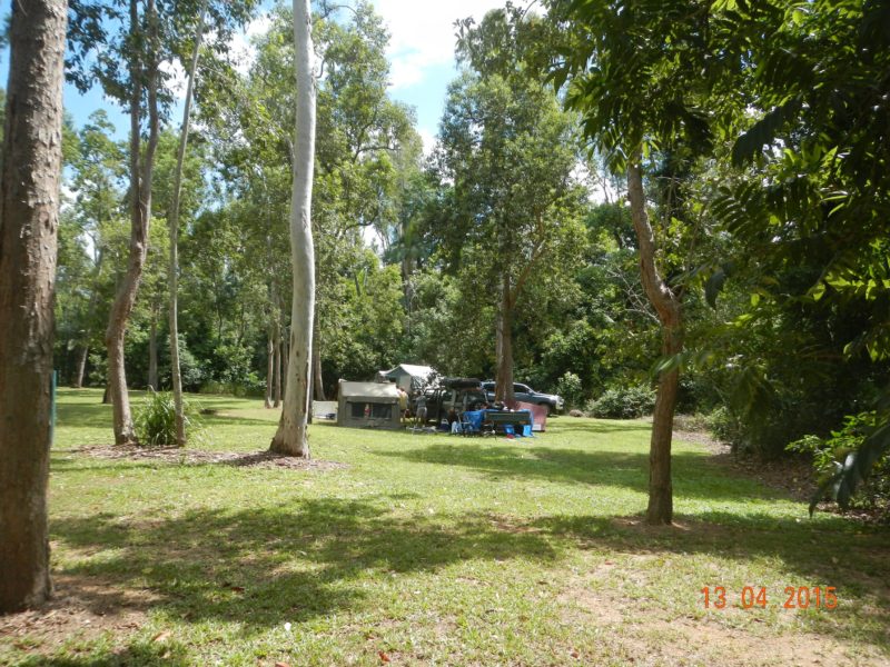 A campsite sits in an open grassy space shaded by tall trees.