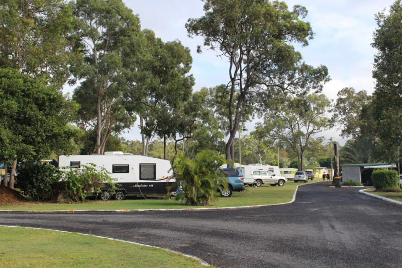 Image showing paved driveways, green lawns and shady trees with caravans parked between the trees.