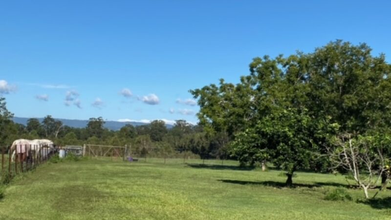 Caboolture Country Camp