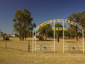 Camping available at Rotary Park, Moura