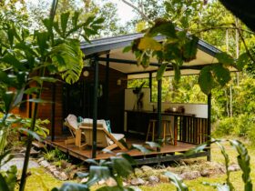 Cottage in orchard at Cape Trib Farm