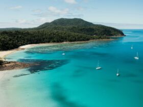 Aerial view of chance bay with sailing boats close to the beach and island hill covered in trees.