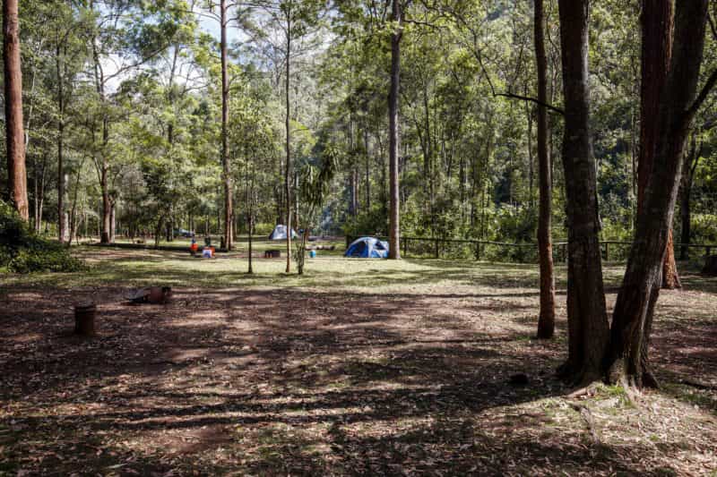Camping area surrounded by forest, Mount Mee.