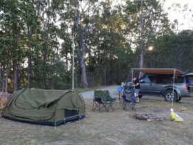 Camp setup under the trees, great view down the hill