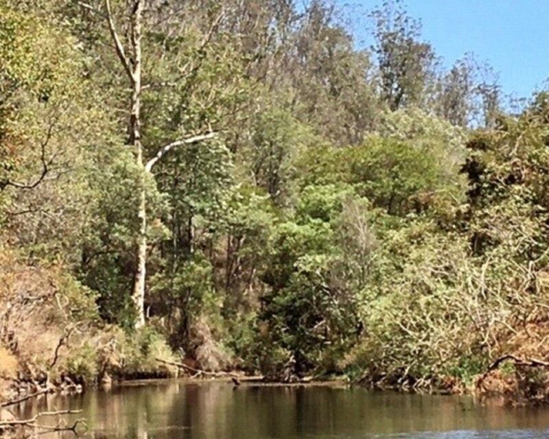 The little water hole on Yabba Creek within walking distance from Jimna Base Camp