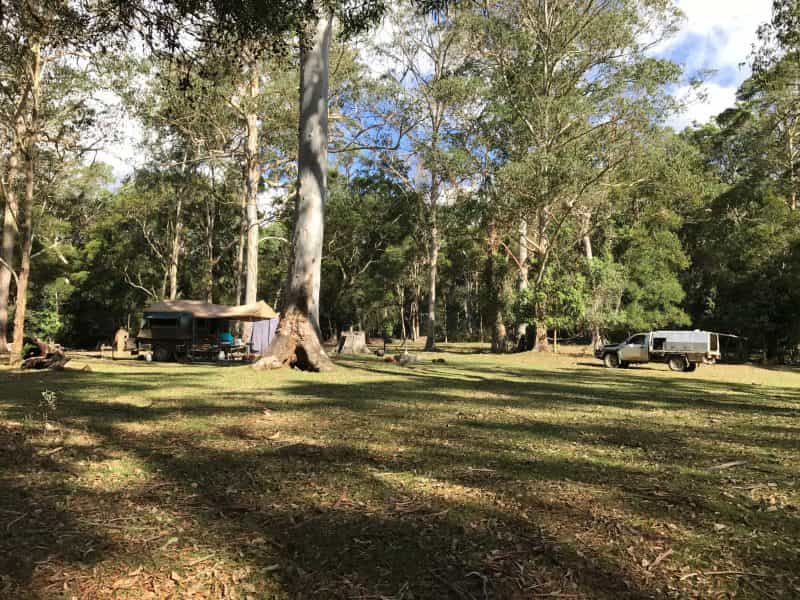 A camp set-up in a large grassy camping area with tall gum and eucalyptus trees throughout.