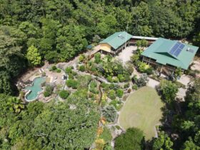 Aerial view of the main house and accommodation block at Licuala Lodge