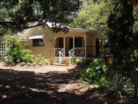 Charming Mango Cottage nestled in the trees on Coochiemudlo Island
