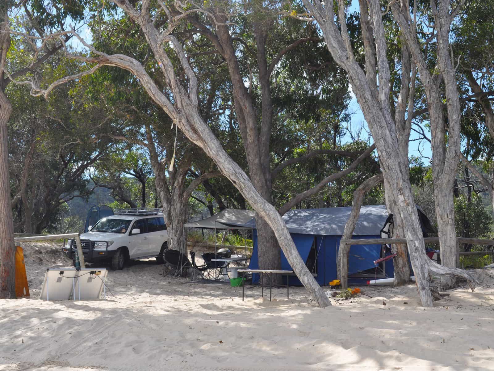 Tent and 4WD under trees on beach.