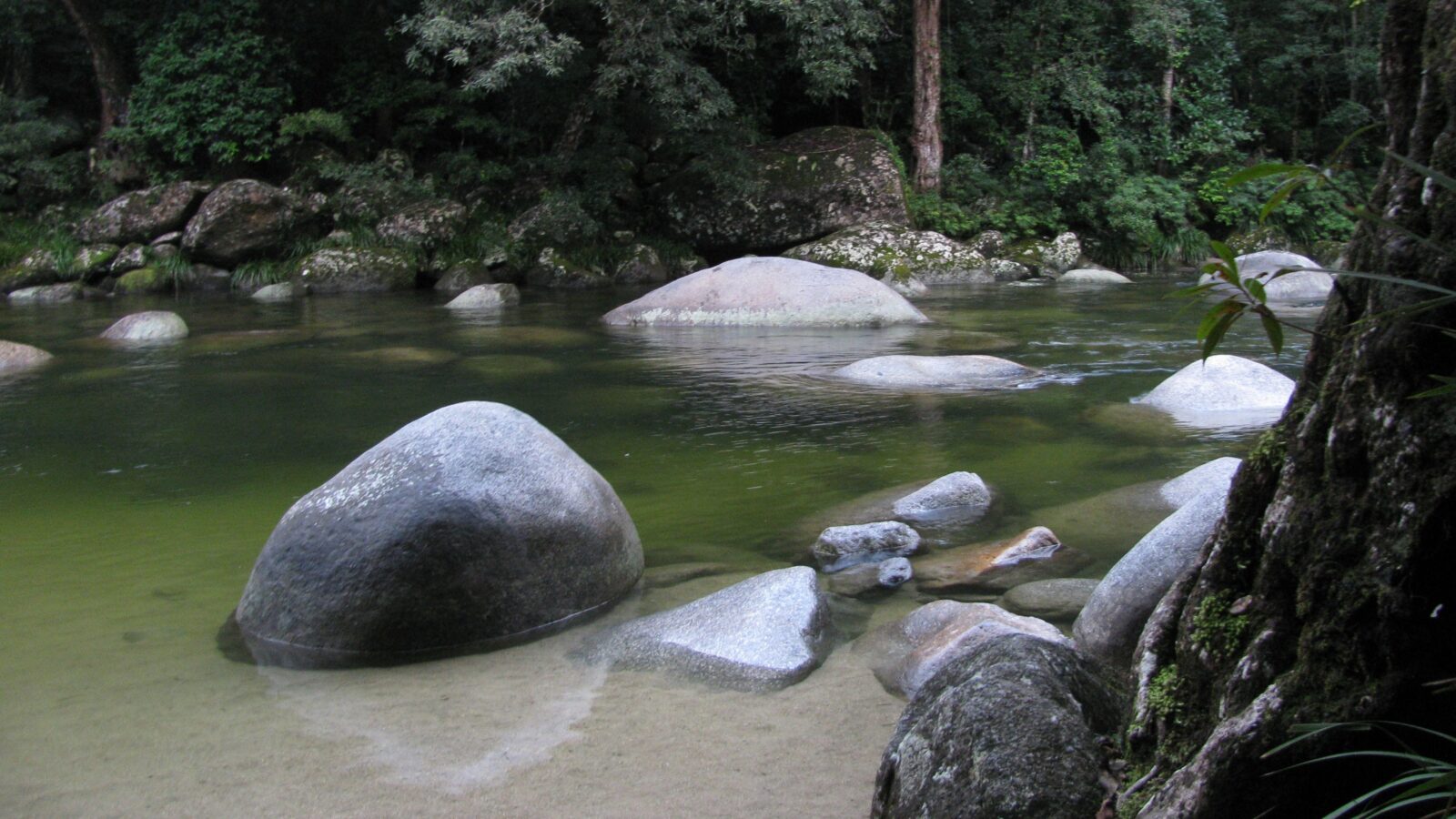 Mossman Gorge Bed and Breakfast