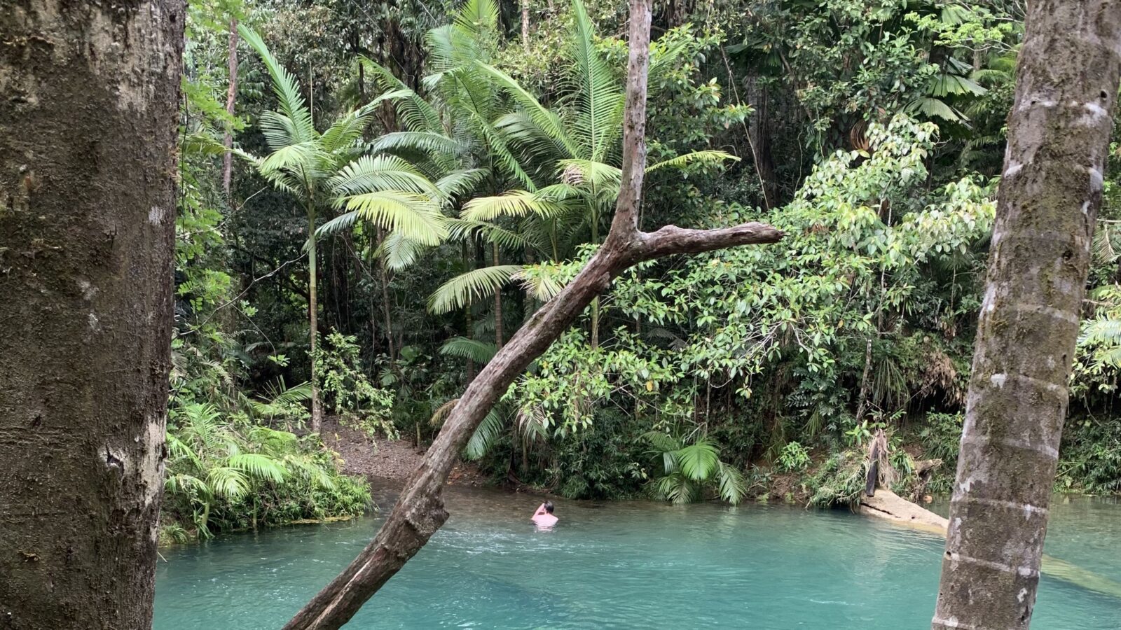 Daintree Rainforest (Blue Hole -swimming hole)