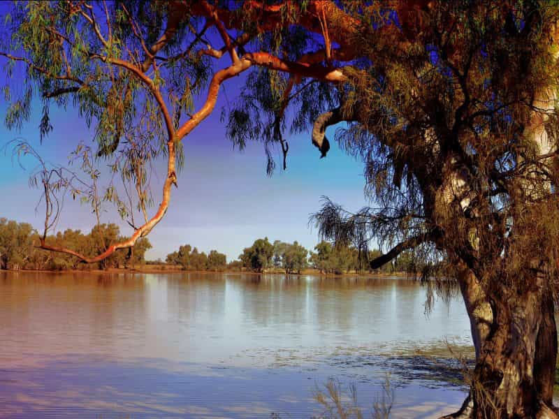 The Lake Quilpie