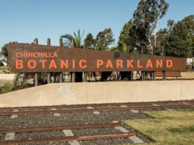 While staying at White Gums Motor Inn, take a stroll around the Chinchilla Botanic Parklan