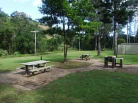 picnic tables are set amongst tall trees in open grassy area.
