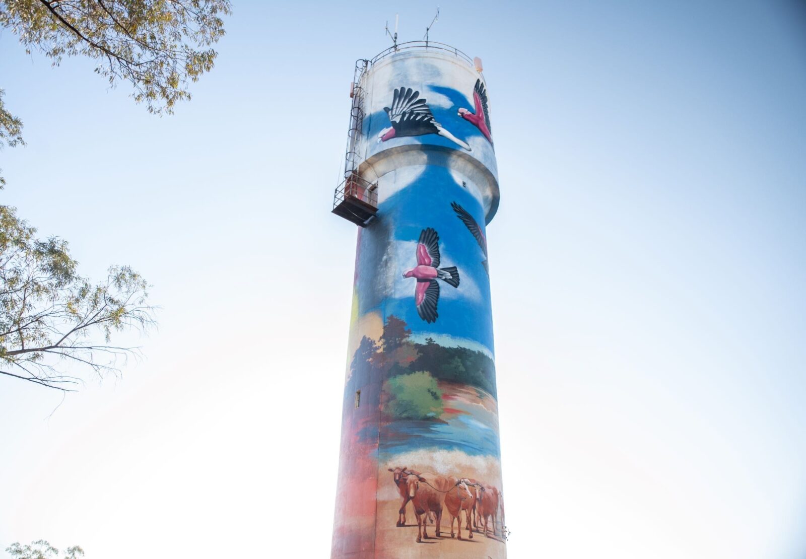 Augathella Water Tower Mural