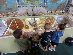 Children enjoying the Ayr Nature Display