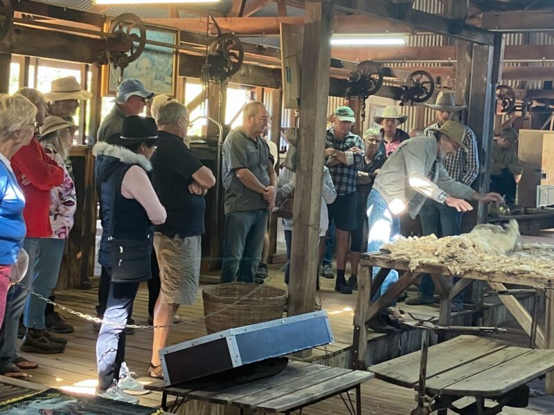 Blackall Historical Woolscour, Wool industry, Shearing, Tourist attraction.