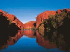 Red sandstone cliffs reflected on blue waters of Lawn Hill Creek.