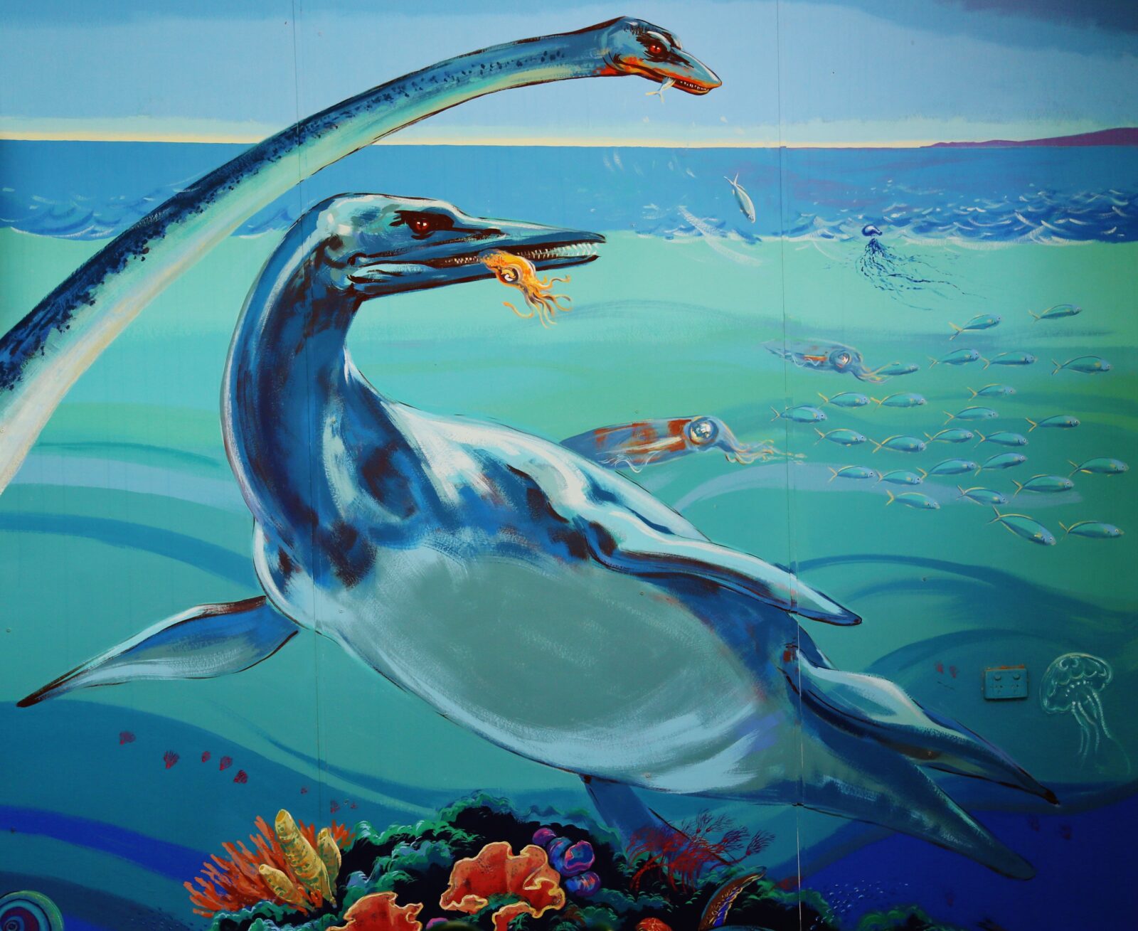 Marine Reptile Fossil Display