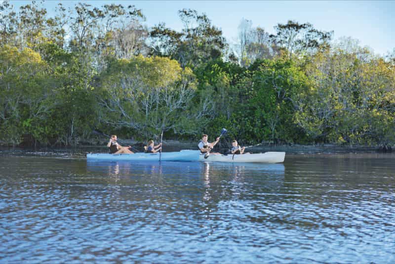 kids and canoes in water with mangroves in background, Bribie Island