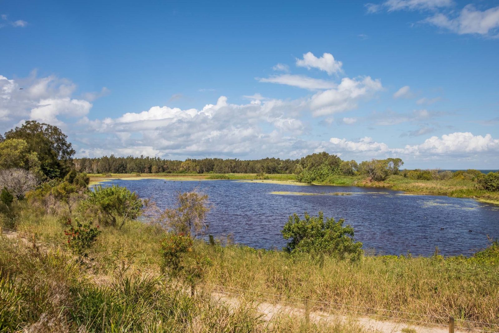 A picture of the lagoon that is located in the Buckley's Hole Conservation Park, Bribie Island.