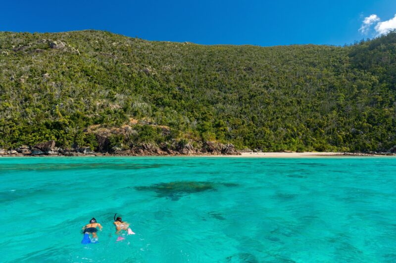 Two people snorkelling above coral reef with beach and island with trees nearby