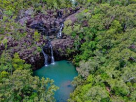 Aerial view of the cedar creek falls and rockpools surrounded by lush greenery