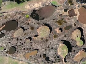 Bird's Eye View of Mystery Craters