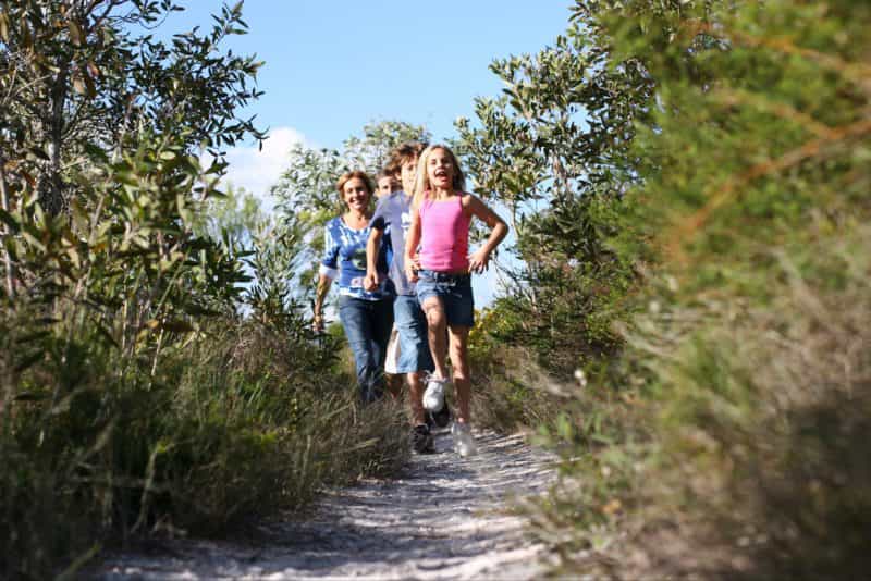 Walkers on track amid heath in Currimundi Lake Conservation Park